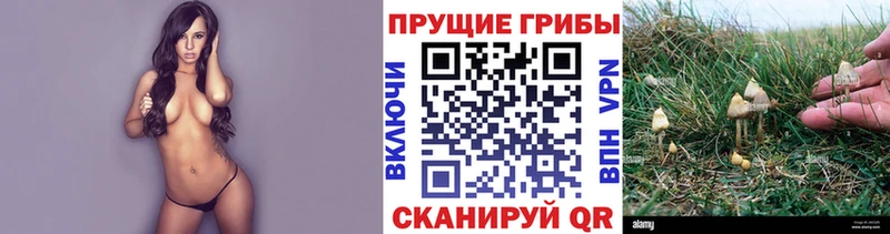 Псилоцибиновые грибы MAGIC MUSHROOMS  KRAKEN ССЫЛКА  Череповец 
